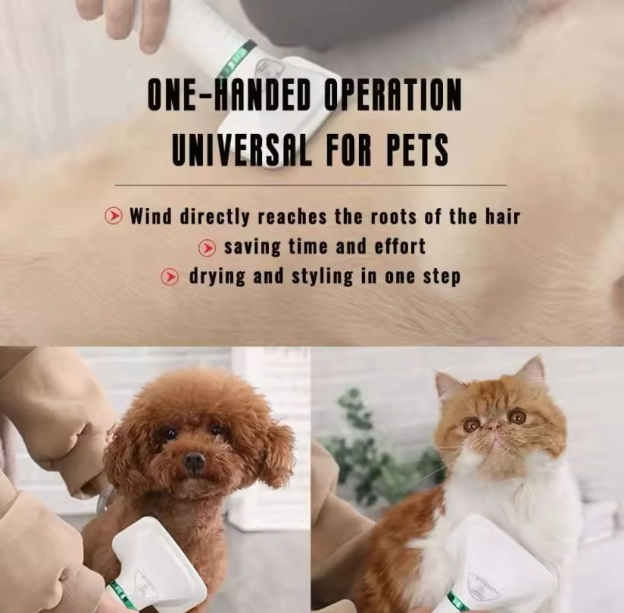 CEPILLO SECADOR PARA ANIMALES - Imagen 2